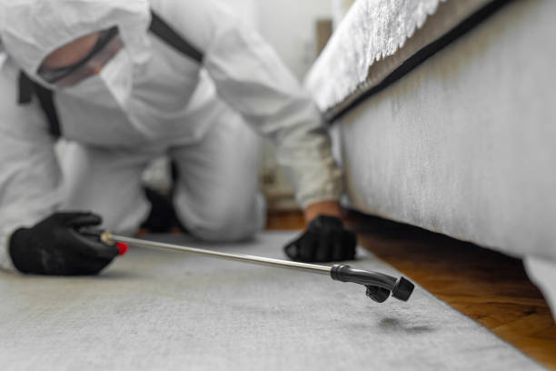 Professional Bed Bug Control technician working in Keego Harbor, MI