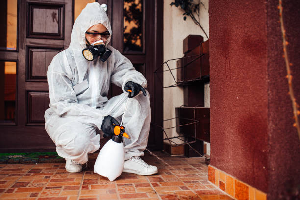Reliable Bed Bug Control contractor in Keego Harbor, MI by Nex Pest Control