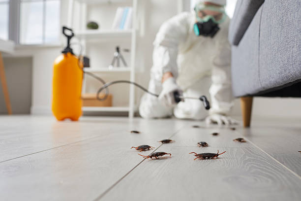 Trusted Fumigation Services service in Keego Harbor, MI - Nex Pest Control
