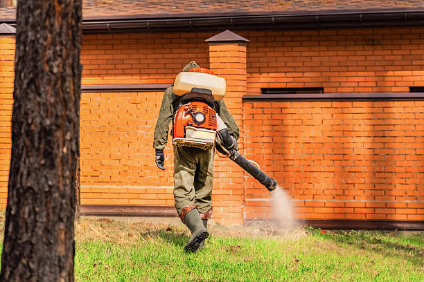 Trusted Rodent Control service in Keego Harbor, MI - Nex Pest Control